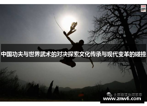 中国功夫与世界武术的对决探索文化传承与现代变革的碰撞