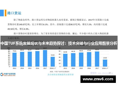 中国TUF系统发展现状与未来趋势探讨：技术突破与行业应用前景分析