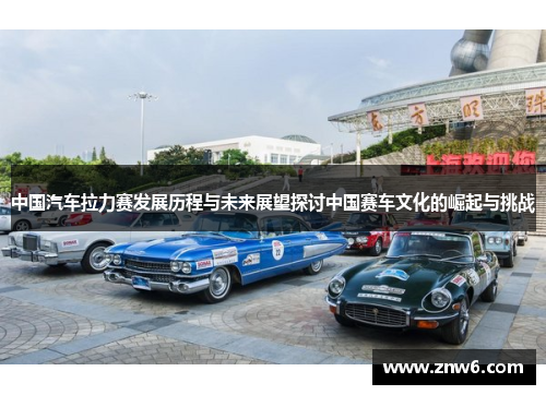 中国汽车拉力赛发展历程与未来展望探讨中国赛车文化的崛起与挑战
